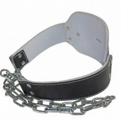 WebCitz - The Fitness Store Lifting Belts Grizzly Leather Pro Dip / Pull Up Training Belt