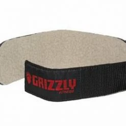 WebCitz - The Fitness Store Grizzly 3