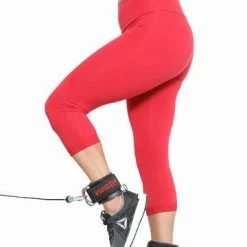 WebCitz - The Fitness Store Grizzly 3