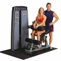 WebCitz - The Fitness Store Body Solid Pro Dual Ab / Back Machine