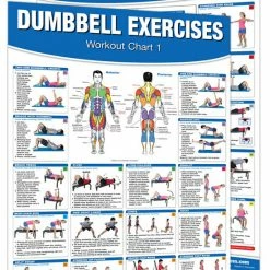 WebCitz - The Fitness Store Dumbbell Workout Poster/Chart Set Fitness Posters / Books