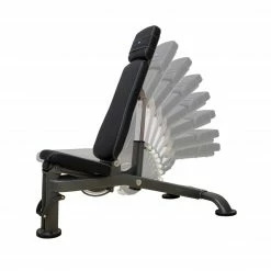 The Fitness Store Paradigm Fitness F.I. Auto-Bench