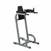 WebCitz - The Fitness Store Body Solid Vertical Knee Raise