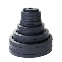 WebCitz - The Fitness Store Body Solid 355 Lb Cast Iron Olympic Plate Set