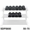 WebCitz - The Fitness Store Body Solid 55 To 75 Lb Rubber Round Dumbbell Set Free Weights 2 WebCitz - The Fitness Store Body Solid 55 To 75 Lb Rubber Round Dumbbell Set Free Weights