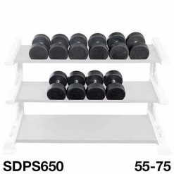 WebCitz - The Fitness Store Body Solid 55 To 75 Lb Rubber Round Dumbbell Set Free Weights