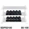 WebCitz - The Fitness Store Body Solid 80 To 100 Lb Rubber Round Dumbbell Set Free Weights
