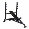 WebCitz - The Fitness Store Body Solid Pro ClubLine Olympic Incline Bench Gym Systems