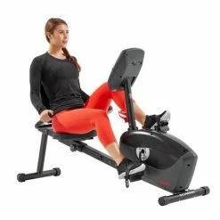 WebCitz - The Fitness Store Schwinn A20 Recumbent Exercise Bike Cardio