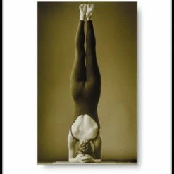 WebCitz - The Fitness Store Accessories Balance Poster