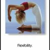 WebCitz - The Fitness Store Flexibility Poster