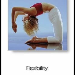 WebCitz - The Fitness Store Flexibility Poster