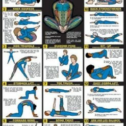 WebCitz - The Fitness Store Accessories Algra Beginners Yoga Poster