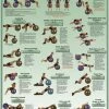 WebCitz - The Fitness Store Body Ball Exercises Poster - Core