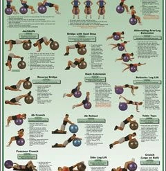 WebCitz - The Fitness Store Body Ball Exercises Poster - Core