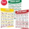 WebCitz - The Fitness Store Fitness Posters / Books Body Weight Exercise Poster Set
