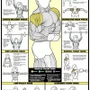 WebCitz - The Fitness Store Accessories Algra Co-Ed Series Shoulder Workout Chart