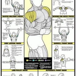 WebCitz - The Fitness Store Accessories Algra Co-Ed Series Shoulder Workout Chart