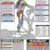 WebCitz - The Fitness Store Crosstrainer Workout