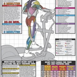 WebCitz - The Fitness Store Crosstrainer Workout