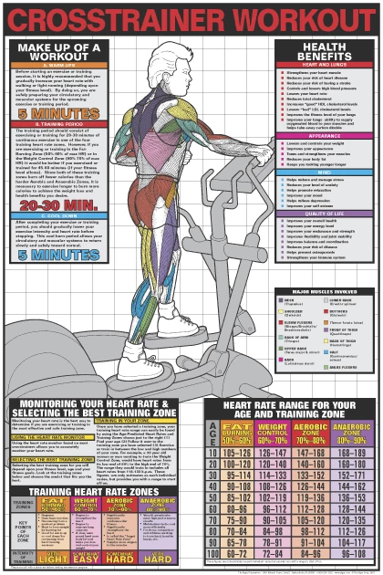WebCitz - The Fitness Store Crosstrainer Workout 3 WebCitz - The Fitness Store Crosstrainer Workout