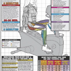 WebCitz - The Fitness Store Recumbent Workout Accessories