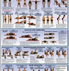 WebCitz - The Fitness Store Dumbbell Exercises Poster - Shoulder And Arms Accessories