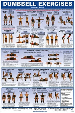 WebCitz - The Fitness Store Dumbbell Exercises Poster - Shoulder And Arms Accessories 3 WebCitz - The Fitness Store Dumbbell Exercises Poster - Shoulder And Arms Accessories