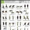 WebCitz - The Fitness Store Fighthrough Fitness Dumbbell Workout Poster Accessories