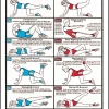 WebCitz - The Fitness Store Algra Exercise Do's & Dont's Poster