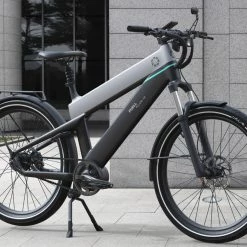 WebCitz - The Fitness Store Bicycles Fuell Fluid 1 E-Bike