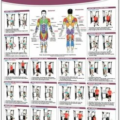 WebCitz - The Fitness Store Productive Fitness Products Functional Trainer: Basics Poster