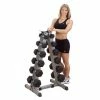 WebCitz - The Fitness Store Free Weights Body Solid 2 Tier Vertical Dumbell Rack