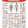 WebCitz - The Fitness Store Home Gym Exercises Poster