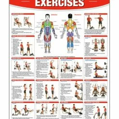 WebCitz - The Fitness Store Home Gym Exercises Poster