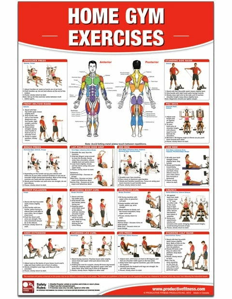 WebCitz - The Fitness Store Home Gym Exercises Poster 3 WebCitz - The Fitness Store Home Gym Exercises Poster
