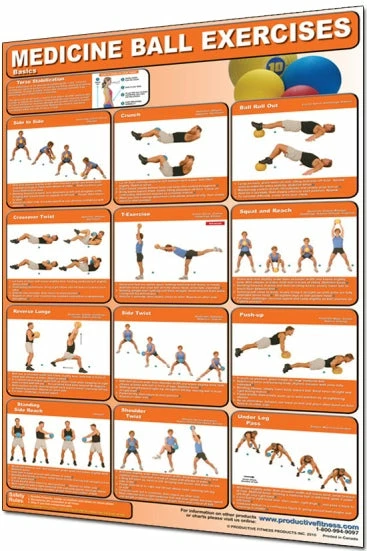 WebCitz - The Fitness Store Medicine Ball Poster 3 WebCitz - The Fitness Store Medicine Ball Poster
