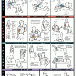 WebCitz - The Fitness Store Chart Series II Dumbell Exercise - Chest, Biceps, Triceps, & Forearm Poster Accessories