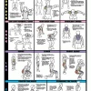 WebCitz - The Fitness Store Accessories Chart Series II Dumbell Exercises - Shoulder, Back, Leg, Calf Poster