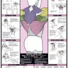WebCitz - The Fitness Store Accessories Chart Series II Back Workout Poster