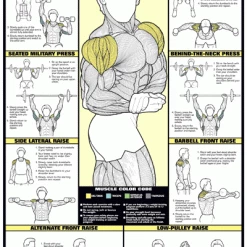 WebCitz - The Fitness Store Chart Series II Shoulder Workout Poster Accessories