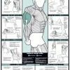 WebCitz - The Fitness Store Accessories Chart Series II Triceps Workout Poster