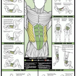 WebCitz - The Fitness Store Accessories Chart Series II Abdominal Workout Poster
