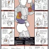WebCitz - The Fitness Store Chart Series II Biceps And Forearm Workout Poster Accessories
