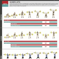 WebCitz - The Fitness Store Fighthrough Fitness Olympic Lifts Workout Poster Accessories