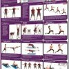 WebCitz - The Fitness Store Resistance Tubing Exercises Shoulders, Rotator Cuff And Core Poster Accessories