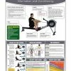 WebCitz - The Fitness Store Rowing Machine Information And Conditioning Poster Accessories