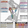 WebCitz - The Fitness Store Stationary Cycle Poster