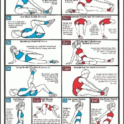 WebCitz - The Fitness Store Algra Stretching Do's & Dont's Accessories