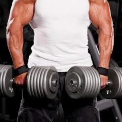 WebCitz - The Fitness Store Grizzly Cotton And Nylon Lifting Wrist Straps 15 WebCitz - The Fitness Store Grizzly Cotton And Nylon Lifting Wrist Straps